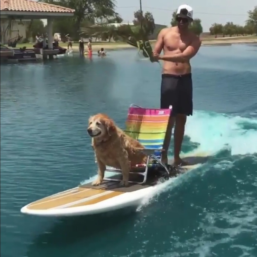 Meet your Posher, Austin